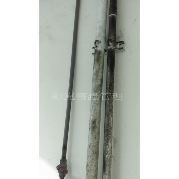 老鼠嚓跡,彰崑環境工程有限公司