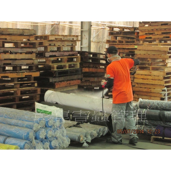 跳蚤防治 跳蚤防治,彰崑環境工程有限公司