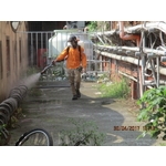 蚊子防治 - 彰崑環境工程有限公司