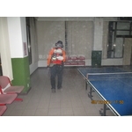 蚊子防治 - 彰崑環境工程有限公司