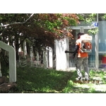 蚊子防治-彰崑環境工程有限公司