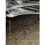 消毒過後 - 彰崑環境工程有限公司