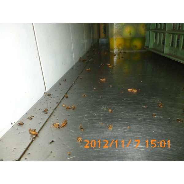 消毒過後,彰崑環境工程有限公司