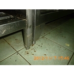 消毒過後 - 彰崑環境工程有限公司