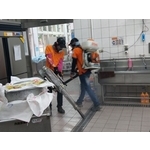 美洲蟑螂防治 - 彰崑環境工程有限公司