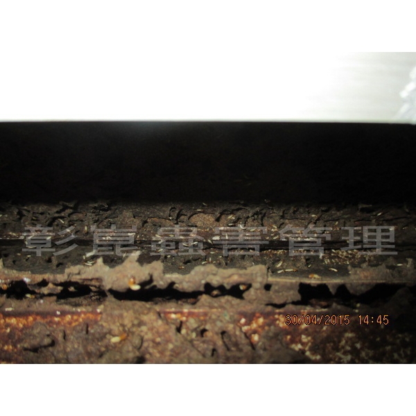 白蟻防治,彰崑環境工程有限公司