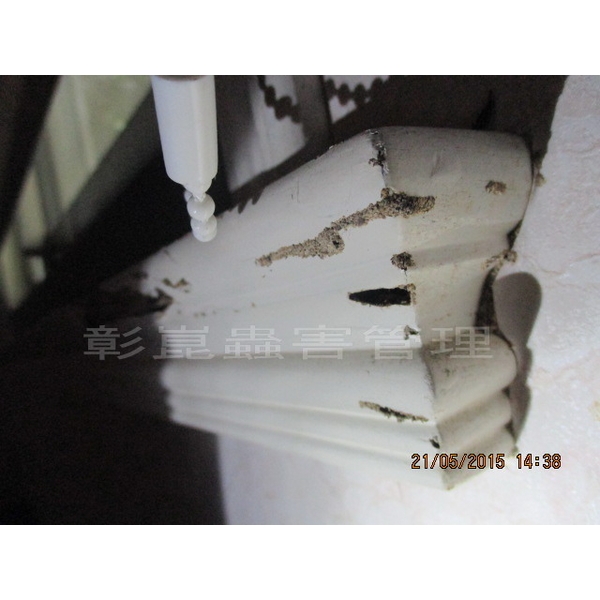 白蟻防治,彰崑環境工程有限公司