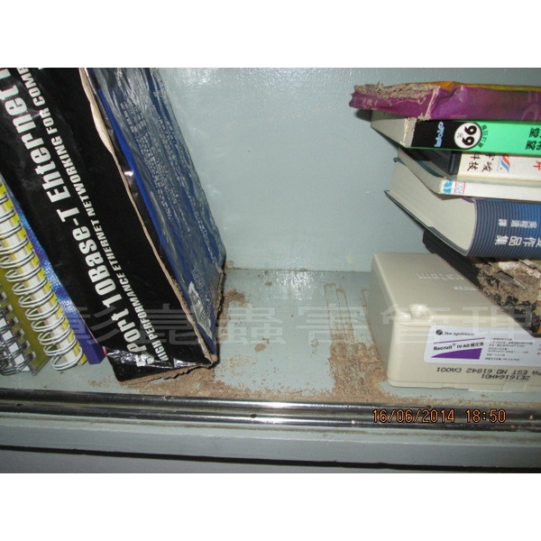 白蟻防治,彰崑環境工程有限公司