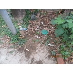 白蟻防治 - 彰崑環境工程有限公司