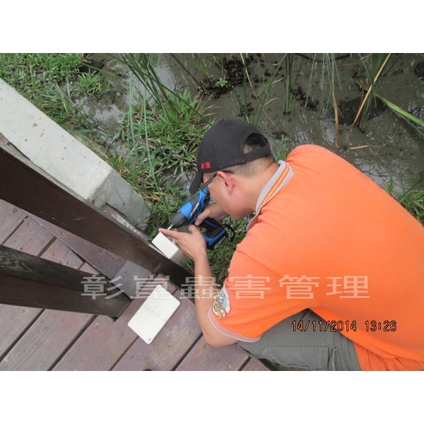 蟻定清防治白蟻