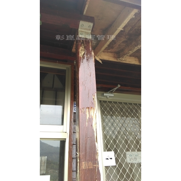 全棟小木屋白蟻防治,彰崑環境工程有限公司
