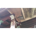 全棟小木屋白蟻防治 - 彰崑環境工程有限公司