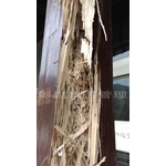 全棟小木屋白蟻防治 - 彰崑環境工程有限公司