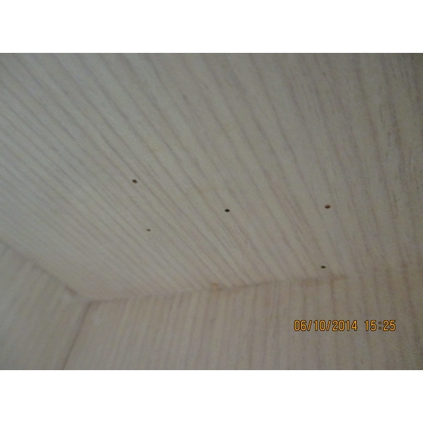 蛀蟲防治 蛀蟲防治,彰崑環境工程有限公司