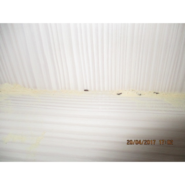 蛀蟲防治 蛀蟲防治,彰崑環境工程有限公司