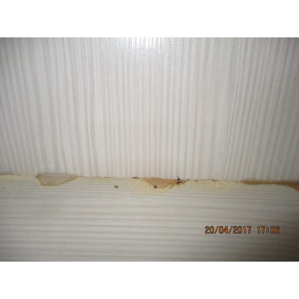 蛀蟲防治,彰崑環境工程有限公司