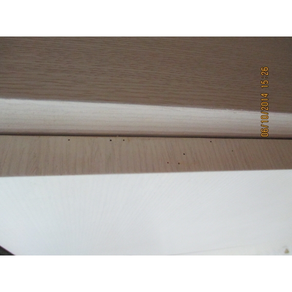 蛀蟲防治 蛀蟲防治,彰崑環境工程有限公司