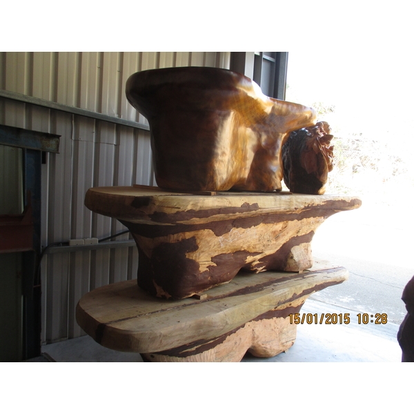 蛀蟲防治,彰崑環境工程有限公司