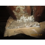 白蟻防治(餌劑施作)