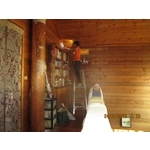 白蟻防治(餌劑施作)