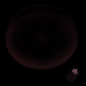 CL-4200FS , 昶宣貿易有限公司