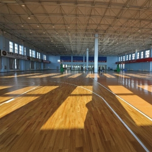 Enlio 籃球運動地板 , 協合金有限公司