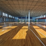 Enlio 籃球運動地板 , 協合金有限公司