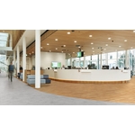 Eternal 伊特諾塑膠地板 , 協合金有限公司