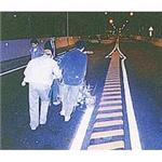 道路標線施工 - 進興交通工程器材有限公司