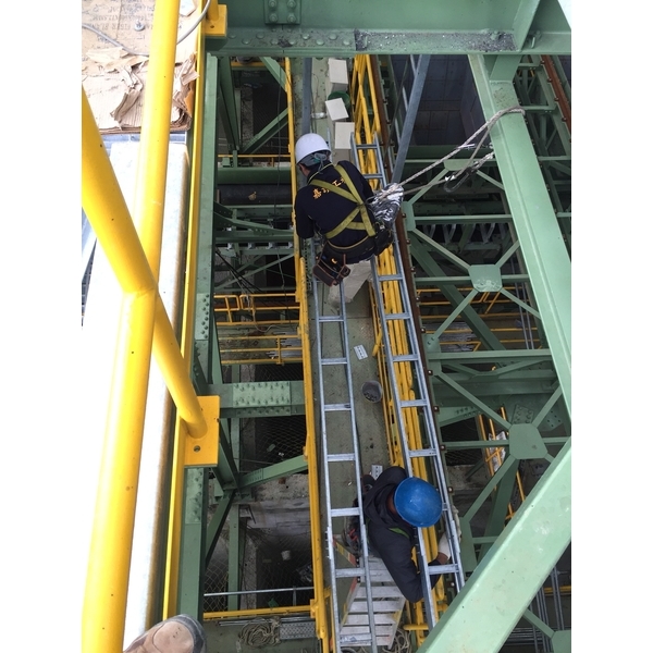 鋼構工程,嘉讚工程