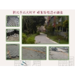 新北附中-蜂巢格框透水鋪面工程 - 瑞塍實業有限公司