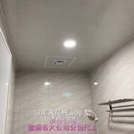 浴室天花板 - 柏峻工程行