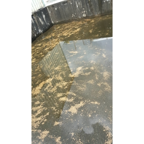 屋頂防水-高億統包工程