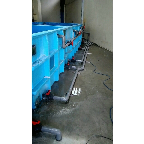 管路配置,光礌企業社