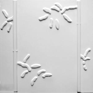 台灣獨家 洛米思3D立體牆板 D029 (50*50cm),鴻廣建設股份有限公司