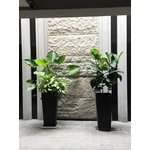 外牆石材 - 臣平石材工程有限公司