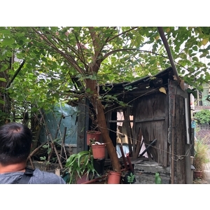 廢棄房屋垃圾清理