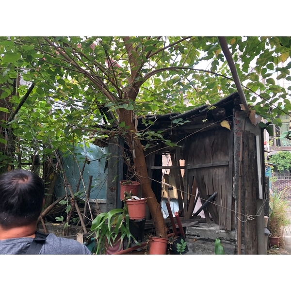 廢棄房屋垃圾清理