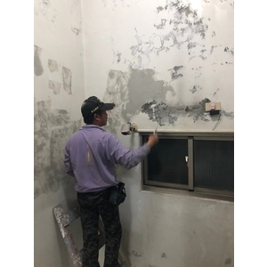 辦公室壁癌處理及油漆