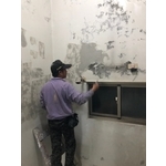 辦公室壁癌處理及油漆 - 榛漾工程有限公司