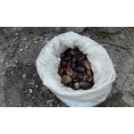 造景石 , 景福園藝