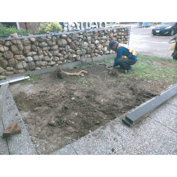 店面園藝造景-中,景福園藝