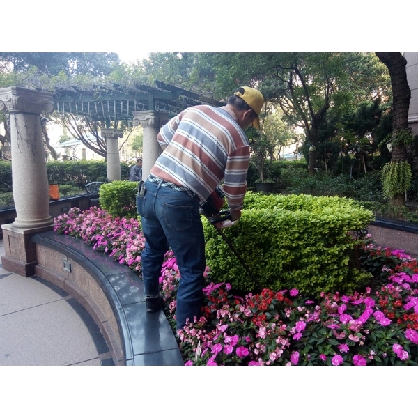 園藝保養,景福園藝