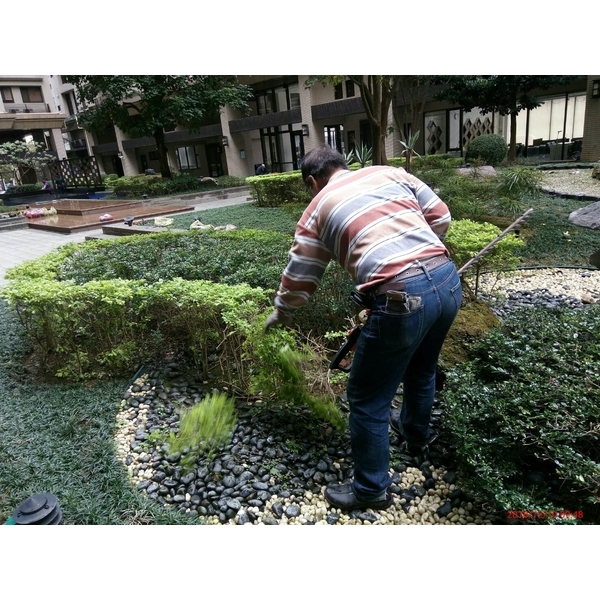園藝保養,景福園藝