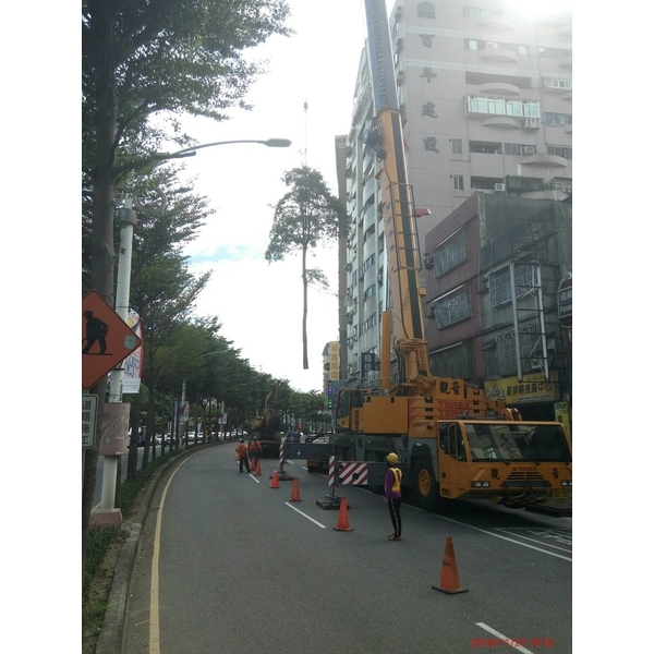 高空作業-景福園藝