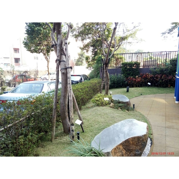 景觀設計造景,景福園藝