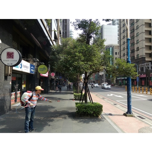 植栽噴藥除蟲-景福園藝