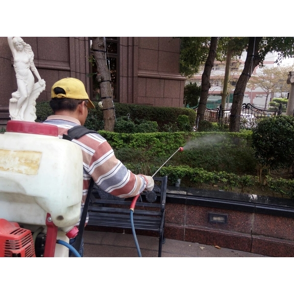 植栽噴藥除蟲-景福園藝