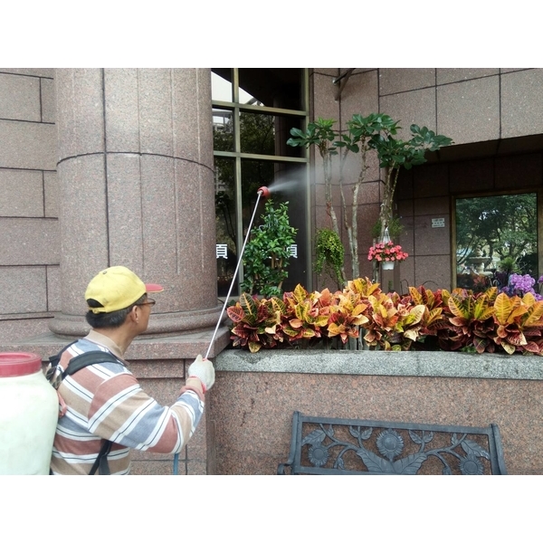 植栽噴藥除蟲-景福園藝