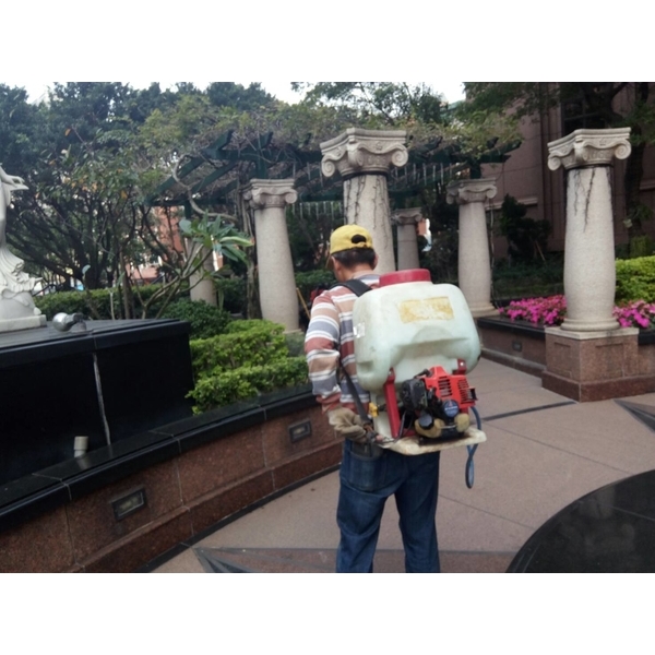 植栽噴藥除蟲,景福園藝